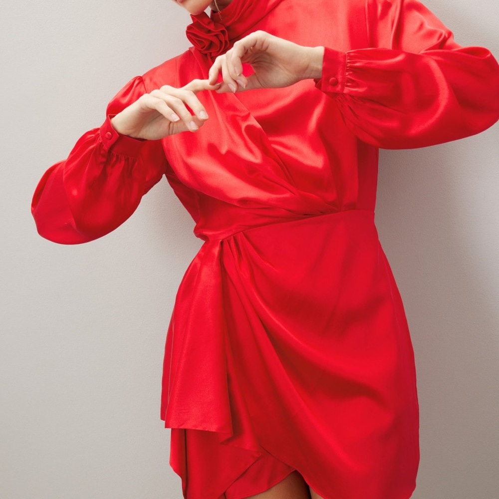 Ronny Kobo Rocky Dress red rose short long-sleeved dress 💃 size M